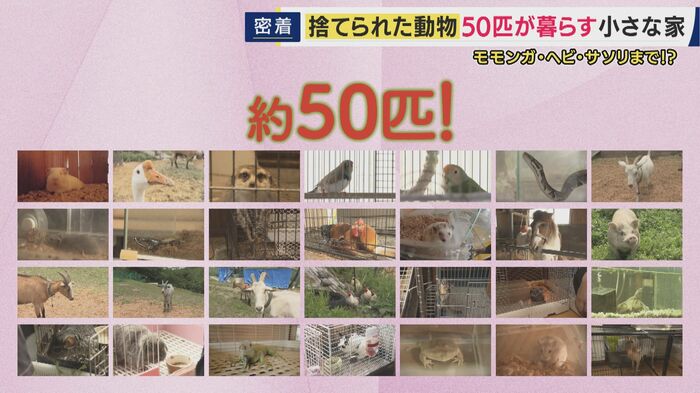 経済的にも楽ではない保護活動
