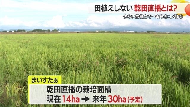 農業生産の受け皿として“農地の耕作受託”もしていて、庄内の農業と水田を守っている