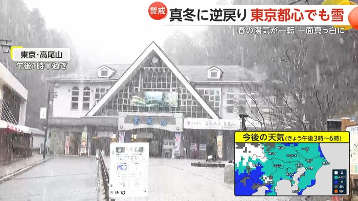 東京・八王子市の高尾山
