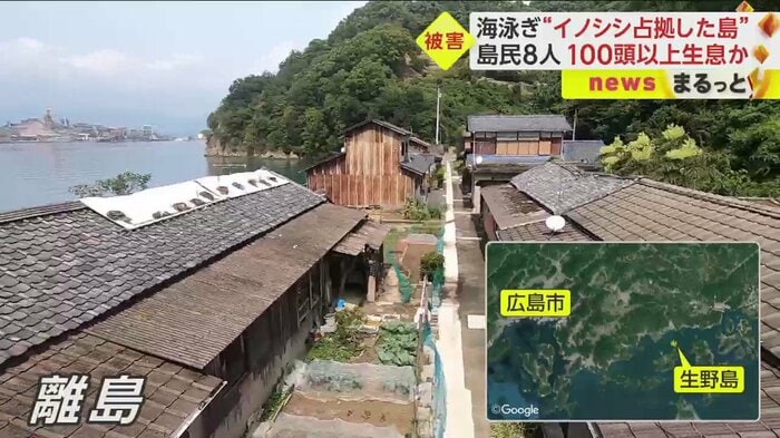 人が住む離島の、生野島(広島県)。20年ほど前までは、イノシシはいなかった
