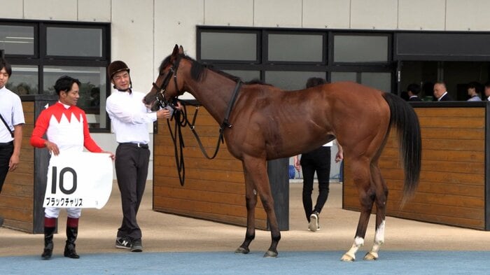 新馬戦を制したブラックチャリス