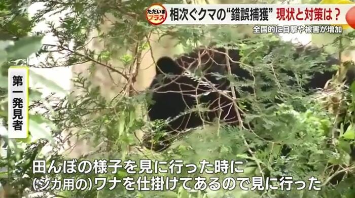 富士宮市白糸(6月16日)