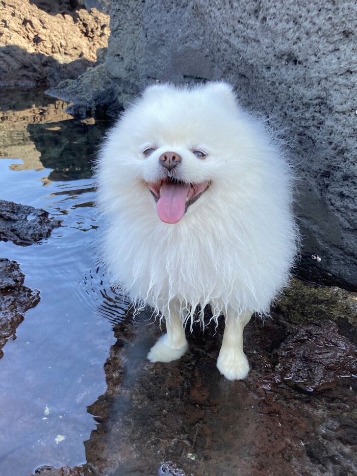 海辺で遊ぶレイくん