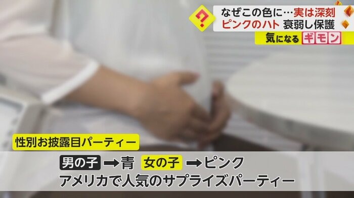 性別お披露目パーティー目的か