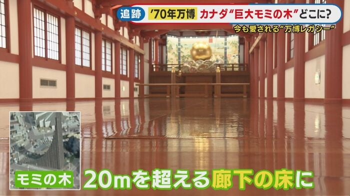 『樅の木廊下』