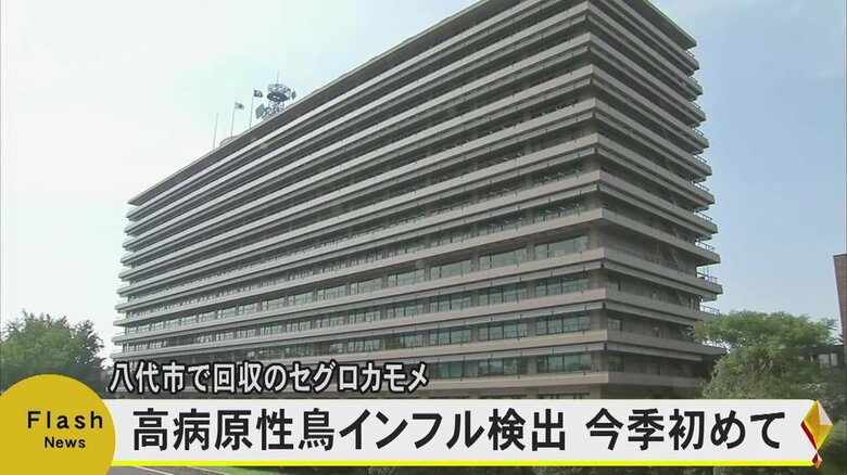 【今季初】熊本県で渡り鳥から高病原性鳥インフルエンザウイルス検出　周辺では異常確認されず｜FNNプライムオンライン