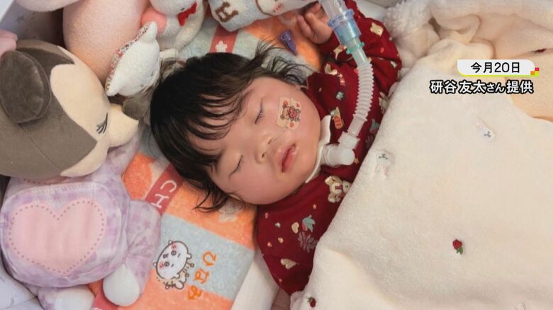 生まれた娘に重度の障害…妊婦が車にはねられ死亡した事件 遺族「娘への過失運転致傷で立件されず納得できていない」｜FNNプライムオンライン