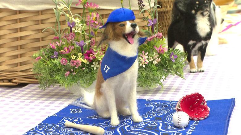 大谷翔平選手の愛犬『デコピン』も登場　「ワンちゃんと猫ちゃんのフェルトアート展」　広島・廿日市市｜FNNプライムオンライン