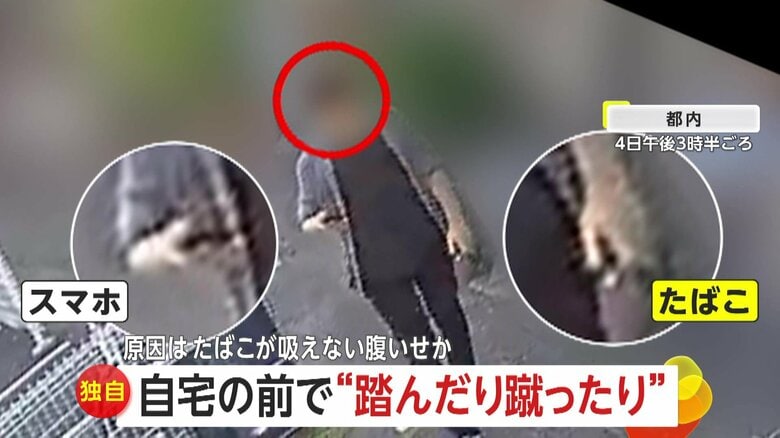【独自】「引き抜かれたど根性草」たばこを吸えない腹いせか？踏んだり蹴ったり植物に八つ当たりする男　東京｜FNNプライムオンライン