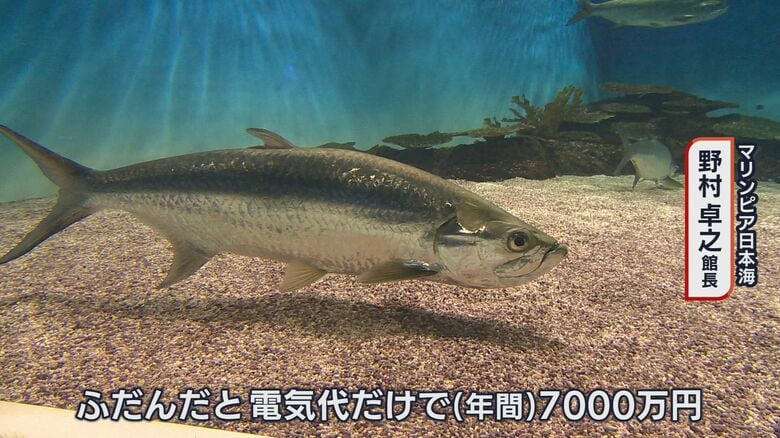 ふだんの電気代