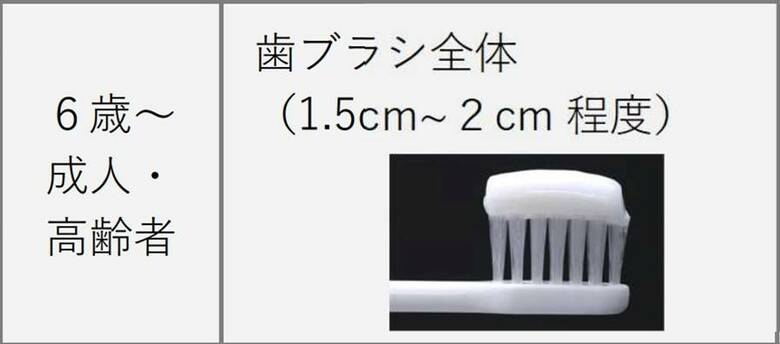 （出典：日本口腔衛生学会  一部拡大）