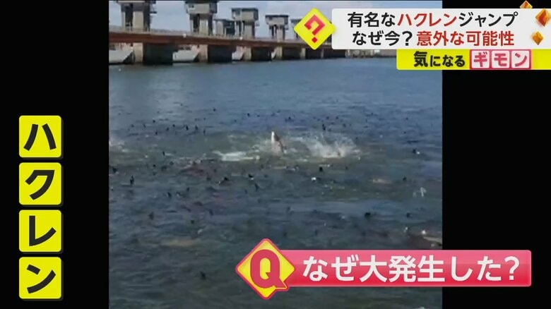 （FNN投稿サイト「ビデオPost」）