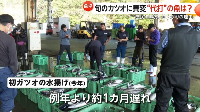 1kg1102円と約1.5倍に高騰した豊洲市場のカツオの卸値