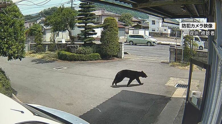 防犯カメラの映像（提供：視聴者）