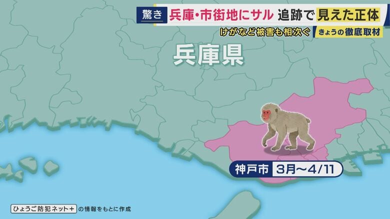 神戸から姫路方面へ西に移動している目撃情報