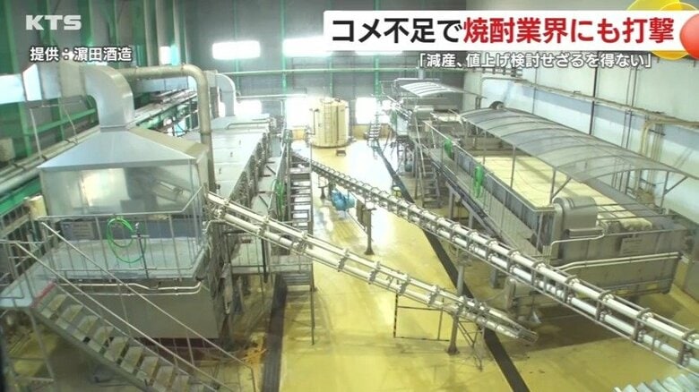 県内酒造会社の多くが加工用米をまだ確保できていないという