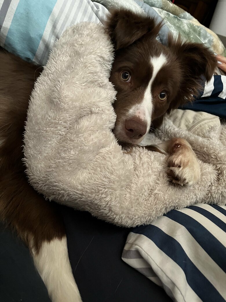 提供：ゆに＆メッシさん