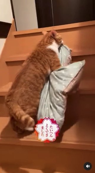 提供：赤瀬川和寿さん