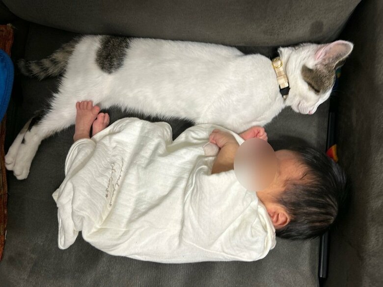 そーっと並べてみた