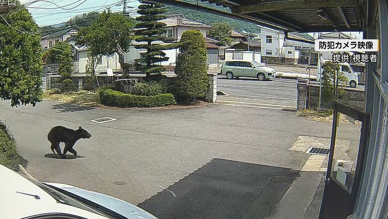 防犯カメラの映像（提供：視聴者）