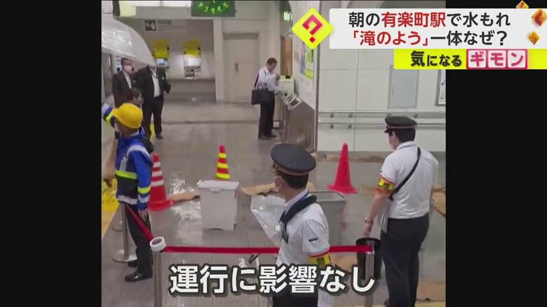 （視聴者撮影）