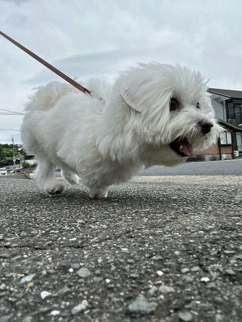 （画像：飼い主さん提供）