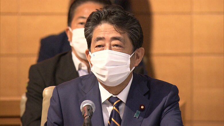 安倍氏を中心とする党内保守層への配慮で主張を修正することも