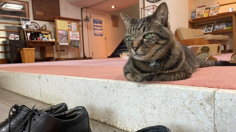 靴もしっかりチェックします