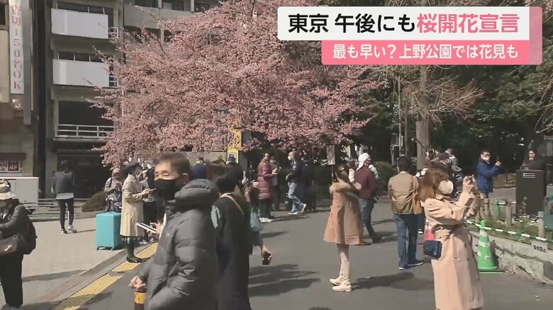 上野公園の桜の様子（14日午前 東京･台東区）
