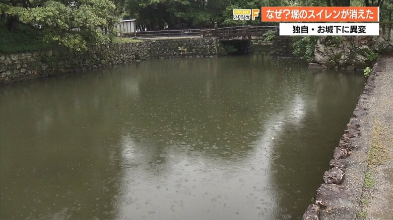 高知城の兼山堀　スイレンは見あたらない