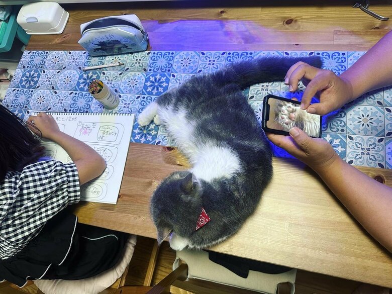 家族で自由研究を進めている時の様子。左でイラストを描いているのが、娘さん