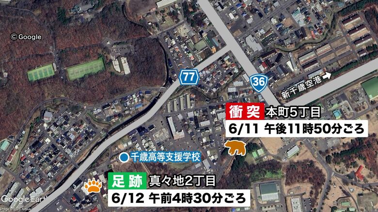 千歳市住宅街で相次ぐクマの出没情報