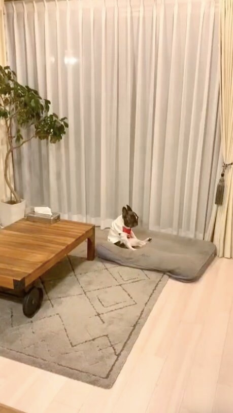 提供：丸男さん