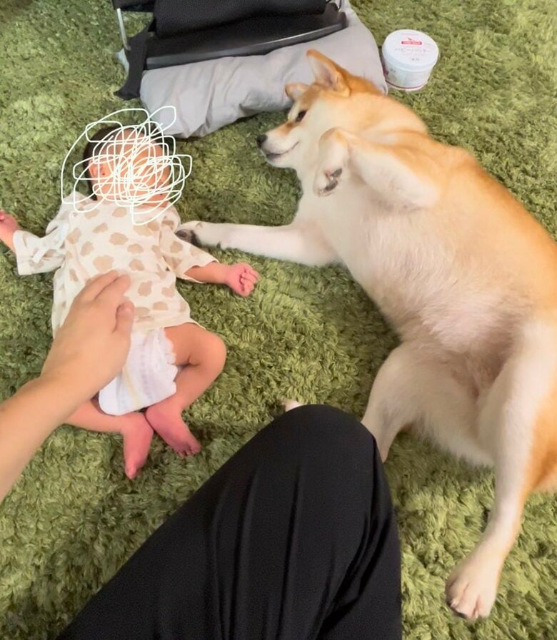 息子さんが新生児の頃（提供：柴犬こちゃんさん）