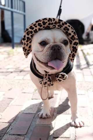 提供：むぎさん