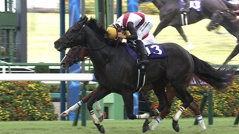 2024年のスプリンターズSを制したルガル