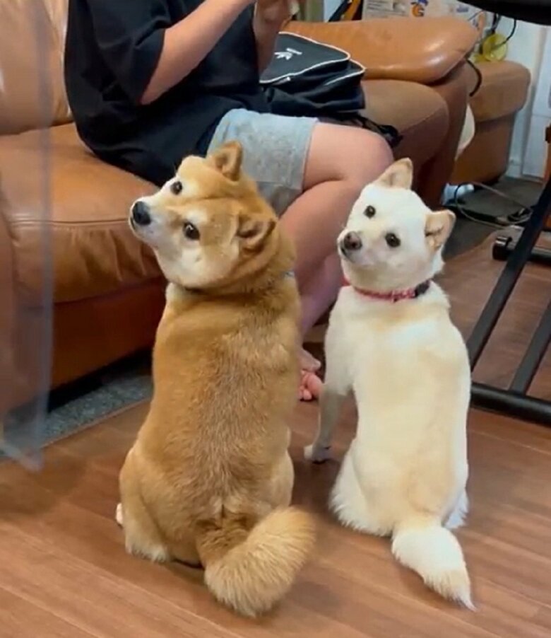 「呼んだ？」と同時に振り返る