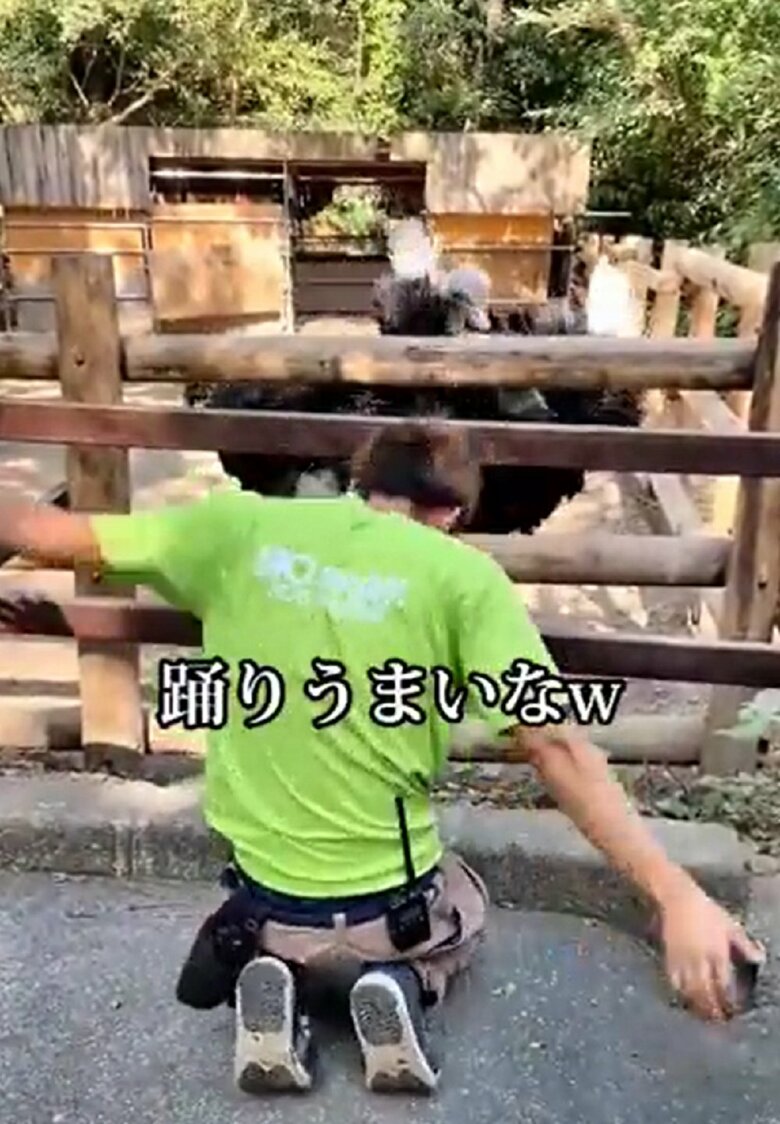 少し様子を見るだけでキョウちゃんはしゃがみだして…