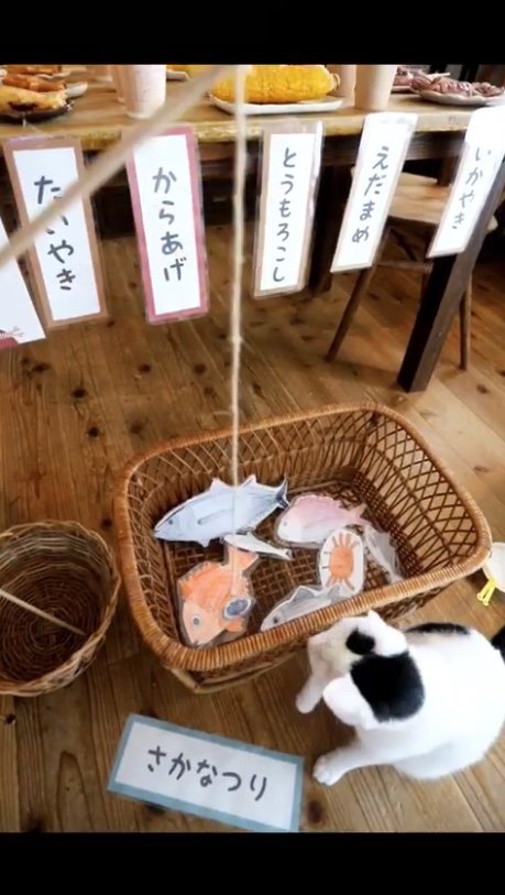 提供：ゆうこさん