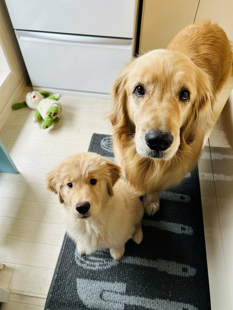 提供：efrinmanさん