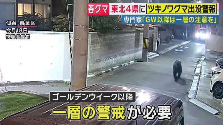 人里に降りてくる危険性も