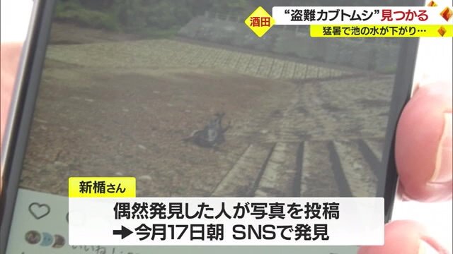 偶然発見した人のSNS