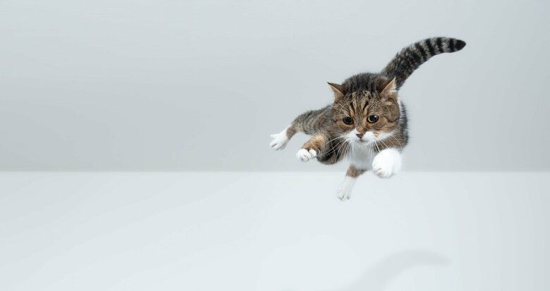 （画像はイメージ）