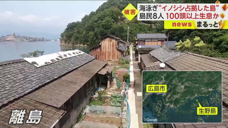 人が住む離島の、生野島（広島県）。20年ほど前までは、イノシシはいなかった