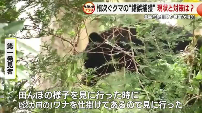 富士宮市白糸（6月16日）