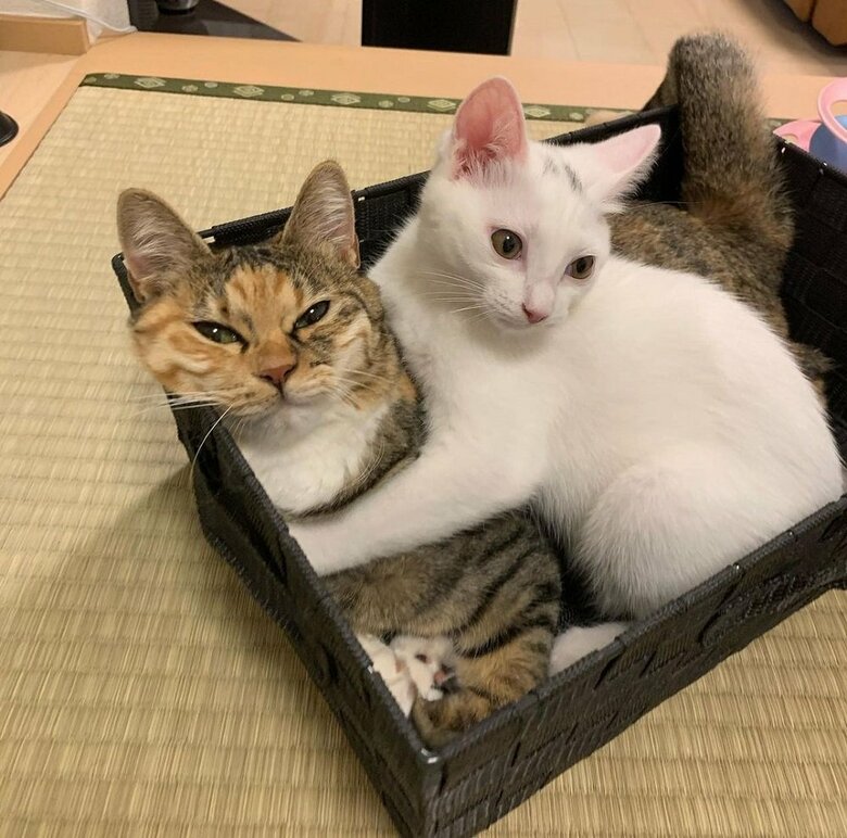 うにちゃんが小さい時は一緒に入っていた