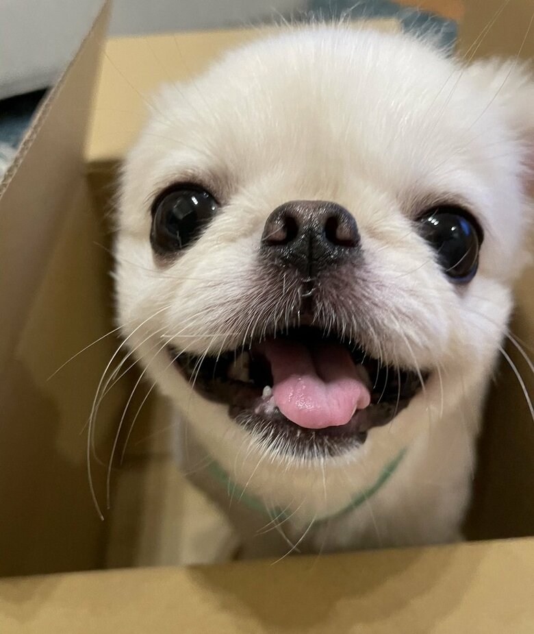 にっこり笑顔