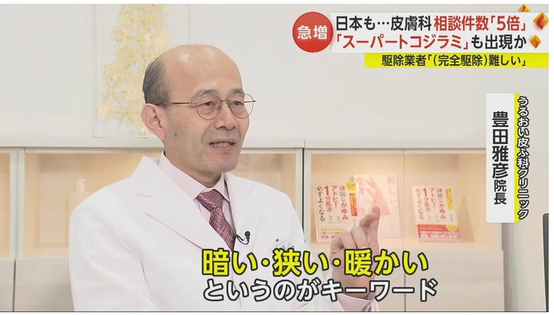 トコジラミのキーワードは「暗い・狭い・暖かい」と豊田院長