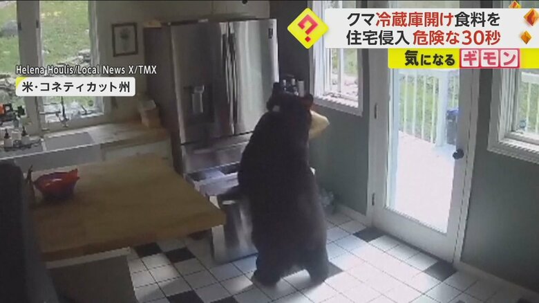 クマが冷蔵庫を器用に開け、食べ物をくわえる様子⑦