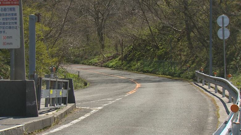 弥彦山スカイライン
